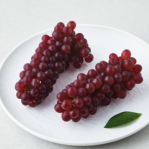 산내농협 GAP 인증 델라웨어 포도, 500g, 1개