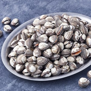 아라보감 산지직송 생물 새꼬막 (냉장), 1개, 2kg