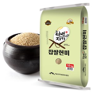 천년지기 국산 찹쌀현미, 10kg, 1개