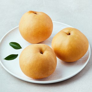 원농산 당도선별 감천배, 1개, 2kg(2~4입)