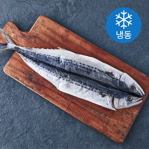 아라보감 국내산 반건조 삼치 (냉동), 330g, 1개