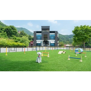 [가평군] 가평 샤갈 애견동반 스파 펜션