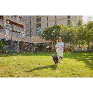[홍천] [본사직영] 소노펫 비발디파크