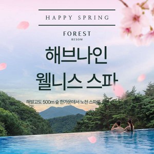 [제천] 포레스트리솜 웰니스스파 이용권(~6.30) (3.31~4.6 휴장)