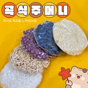 완제품교구 (곡식주머니 6종) 어린이집 유치원 곡식관찰 감각탐색교구 촉감교구 평가인증 환경구성, 1개