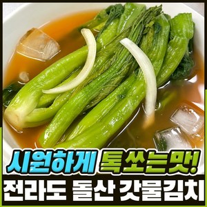 푸드지 여수 돌산 갓물김치, 1개, 2kg