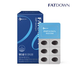 CJ웰케어 팻다운 컷 잔티젠 605mg X 30캡슐, 30정, 1개