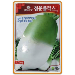 청운플러스무 2000립 가을무 김장무 씨앗 종자 씨 무씨앗 무씨, 1개, 20g