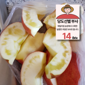 [꿀내음농원] 정품 부사 사과 특가판매, 1개, 2kg (7과 내외)