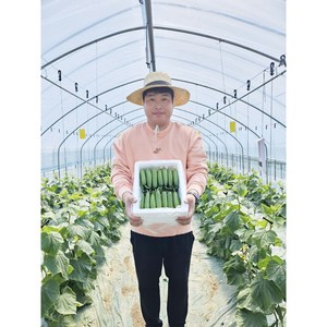 [산지직송 당일발송] 예스팜 미니오이 스낵오이 피클오이 미니오이1.3kg, 1박스, 2kg