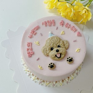 [코카coca]강아지 생일파티 미니케이크 도시락케이크주문제작케이크 강아지생일상추천 강아지생일파티세트 강아지유치원답례품, 1개, 1g, 고구마+호박