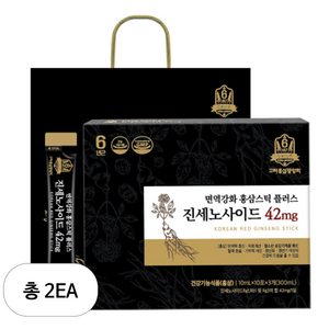 고려홍삼중앙회 면역강화 홍삼스틱 플러스 진세노사이드 42mg + 쇼핑백, 300ml, 2세트