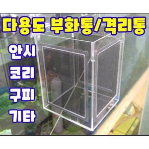 200 사이즈 구피 부화통 격리통 안시 코리 베타 치어통 아크릴 지존, 1개