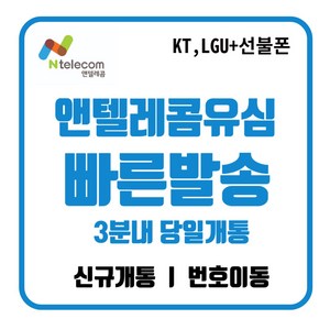 앤텔레콤 선불폰(KT LG) 선불유심 알뜰폰 공식유심 주말개통가능 자급제사용가능 당일개통 빠른개통, KT망유심, 1개, 30일, 무제한