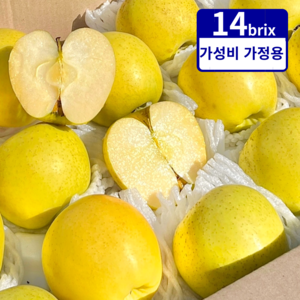 황금사과 가정용 시나노 골드 사과, 1세트, 5kg (중소과)