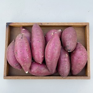 세모농 24년 퍽퍽한 햇 고구마 꿀 밤고구마, 꿀밤고구마 3kg (중상), 1개