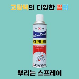 조씨네 동서 락카 도색 스프레이 페인트, 1개, 투명무광