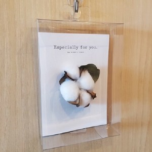 [방산소년단] 세로형 드라이플라워 캘리그라피 엽서 벽걸이 투명상자 50개, 대(11.1 x 4 x 16.1), 투명