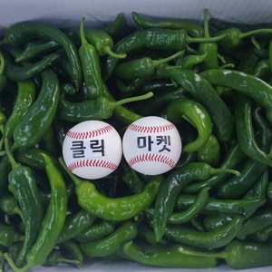 클릭마켓 오이고추 아삭이고추 못난이 풋고추 1kg 2kg 3kg, 1개