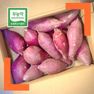 파머스넷 세척 무농약 꿀고구마 정품, 5kg 특상(120g~300g), 1개