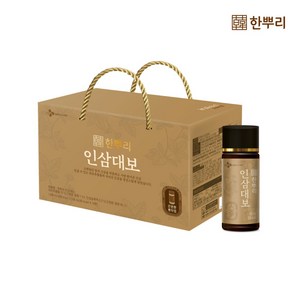 CJ웰케어 한뿌리 인삼대보 병 10입, 100ml, 10개