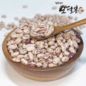 힘찬농부오달봉 수입 호랑이콩 강낭콩 울타리콩 매화콩, 1개, 5kg