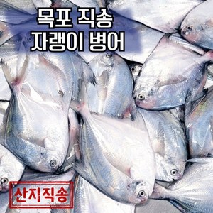 목포 국산 자랭이 병어 당일조업 산지직송, 1개, 2kg(횟감손질)