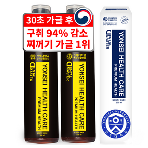 연세생활건강 헬스케어 덴탈 마스터 가글, 500ml, 2개