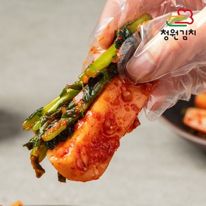 [청원김치] 국내산 100% 아삭하고 시원한 총각김치 5kg HACCP 인증, 1개