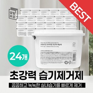 살림보감 프리미엄 초강력 제습제 습기제거제 옷장습기제거제, 24개, 250g