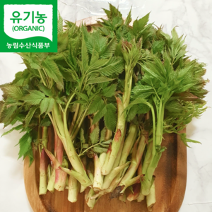 [최상급] 유기농 특품 눈개승마 삼나물, 1kg, 1박스