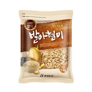 현대농산 국산 발아현미 5kg, 1개