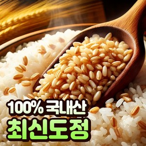 [100%국산] 호라산밀 카뮤트 효능 당뇨에좋은 쌀, 2개, 1kg