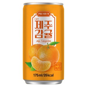 다인 서편제 제주감귤 175ml, 60개, 60개