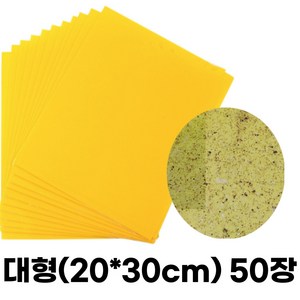 도도이츠 해충 끈끈이 트랩 대형 200X300mm 50개, 1개입