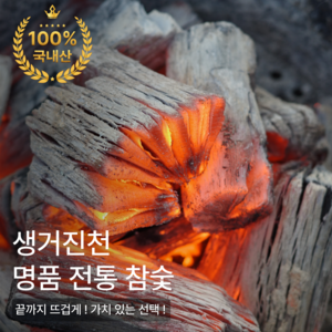 [진천참숯] 오래가는 국내산 백탄 숯 캠핑 바베큐 국산 숫 추천 야외용 펜션 고기집 구이용 업소용 1박스, 1개, 5kg