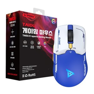 TAIDU 타이두 TSG608Po 초경량 무선 블루투스 게이밍 마우스, 블루