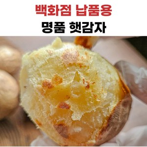 더좋은 수미감자, 1개, 대사이즈, 5kg