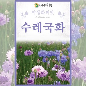 다농 수레국화 씨앗 1g, 1개