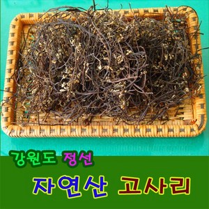 고사리/100g/자연산 고사리/건조 고사리/강원도 정선, 1개