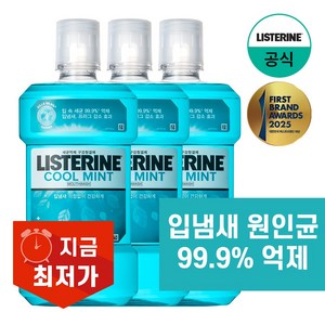 리스테린 쿨민트 구강청결제, 1L, 3개