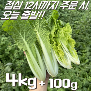 [꿀야채 얼갈이배추] 물 좋은 철원 산지직송 얼갈이배추, 1개, 4kg