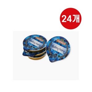 앤드로스 포션 블루베리잼 14.2g x 24개