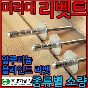 리벳/리벳못/리베트/못/리배트/대와샤/머리대/리벳트, 1-4 머리대(대와샤), 5.0*30mm-11개, 1개