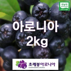 24년유기농 자연초생재배 초례봉아로니아냉동생과열매 상급2kg (꼭지있어요)/ 농장 직배송, 1kg(1개), 2개