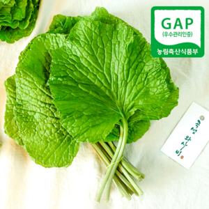 (자연마을) GAP 곡성 고추냉이잎 와사비잎 300g 500g, 1개, GAP 와사비잎 500g