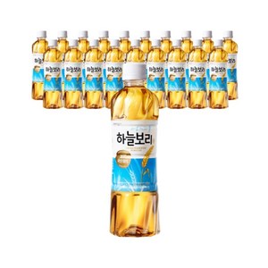 웅진 하늘보리, 500ml, 100개