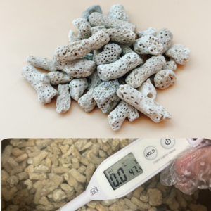 염도제거 뼈산호 달팽이집 꾸미기 칼슘 30g, 1개