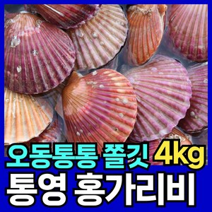 최상품질 홍가리비 통영 제철 가리비 핏시드, 1개, 4kg(100미 내외)