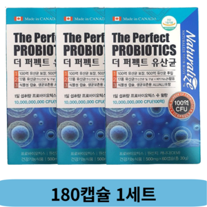 네추럴라이즈 100억 보장 더 퍼펙트 유산균, 180정, 1세트